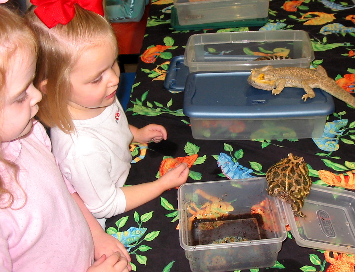 2007_01_20 JnC with toad and lizzard.jpg